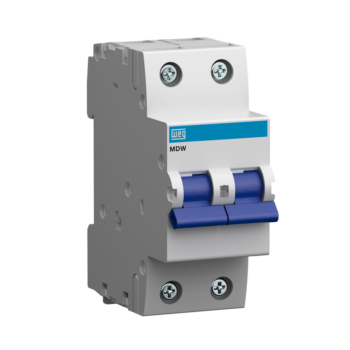 MINI INTERRUPTOR TERMOMAGNETICO 2 POLOS 100A MDW-C100-2